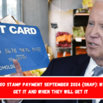 $291 Food Stamp Payment September 2024 (SNAP) Who Can Get It and When They Will Get It