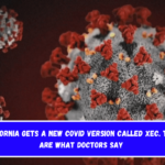 California gets a new COVID version called XEC. These are what doctors say