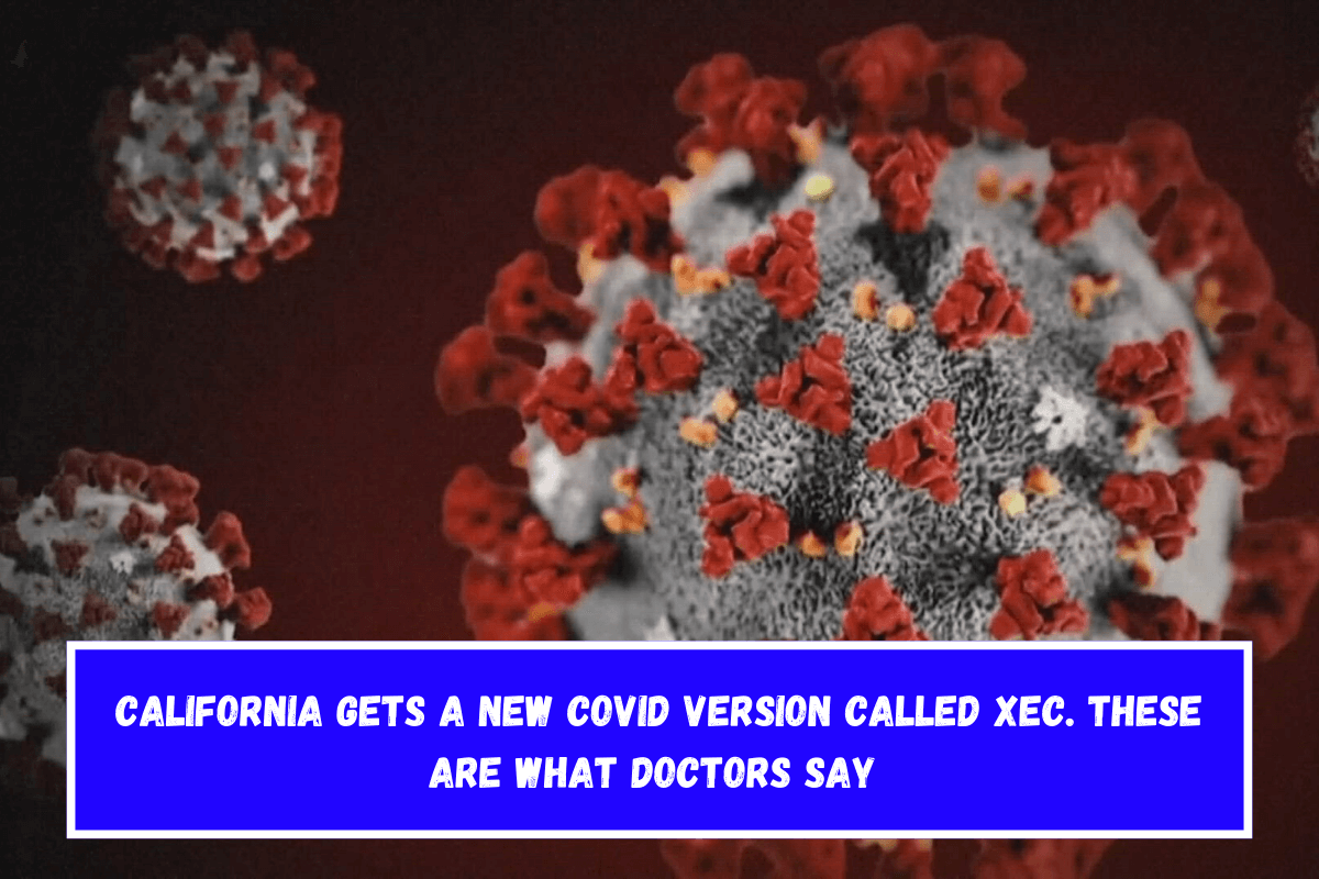 California gets a new COVID version called XEC. These are what doctors say