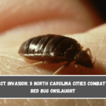 Insect Invasion 5 North Carolina Cities Combatting Bed Bug Onslaught