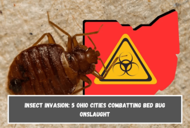 Insect Invasion 5 Ohio Cities Combatting Bed Bug Onslaught