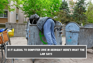 Is It Illegal to Dumpster Dive in Georgia Here’s What the Law Says