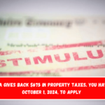 Montana gives back $675 in property taxes. You have until October 1, 2024, to apply