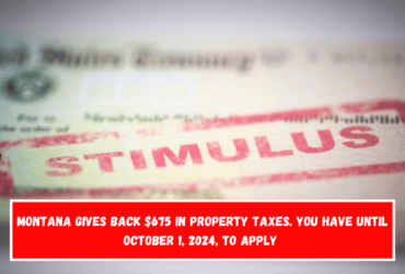 Montana gives back $675 in property taxes. You have until October 1, 2024, to apply