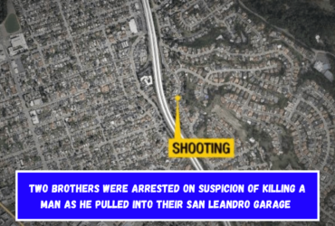 Two brothers were arrested on suspicion of killing a man as he pulled into their San Leandro garage