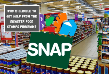 Who is eligible to get help from the Disaster Food Stamps program