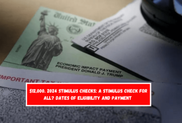 $12,000. 2024 Stimulus Checks A Stimulus Check for All Dates of Eligibility and Payment