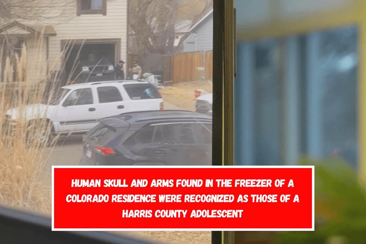 Human skull and arms found in the freezer of a Colorado residence were recognized as those of a Harris County adolescent