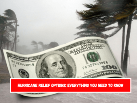 Hurricane Relief Options Everything You Need to Know