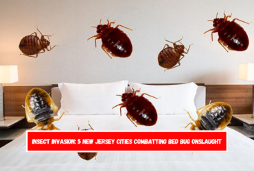 Insect Invasion 5 New Jersey Cities Combatting Bed Bug Onslaught