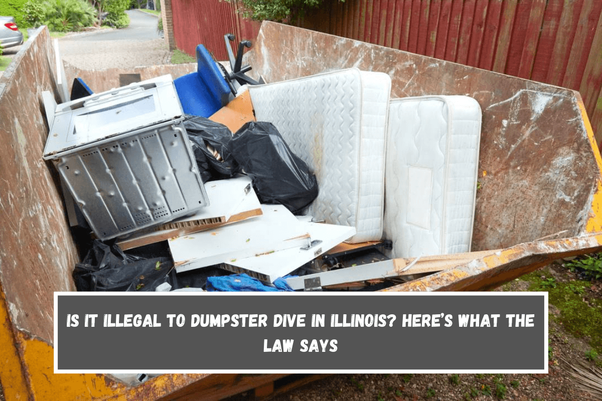 Is It Illegal to Dumpster Dive in Illinois Here’s What the Law Says