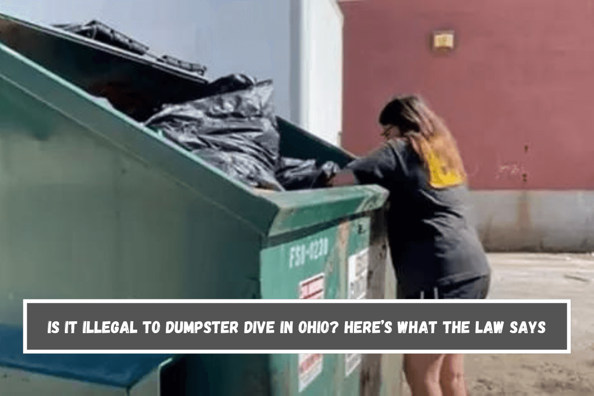 Is It Illegal to Dumpster Dive in Ohio Here’s What the Law Says