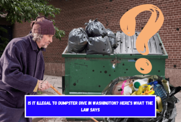 Is It Illegal to Dumpster Dive in Washington Here’s What the Law Says