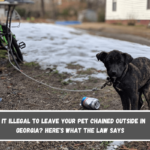 Is It Illegal to Leave Your Pet Chained Outside in Georgia Here's What the Law Says