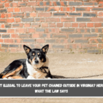 Is It Illegal to Leave Your Pet Chained Outside in Virginia Here's What the Law Says