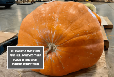 OH GOURD! A man from Pink Hill achieved third place in the giant pumpkin competition.