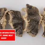 At Dulles International Airport, snake meat seized