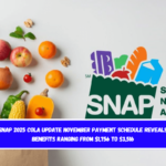 SNAP 2025 COLA Update November Payment Schedule Reveals Benefits Ranging from $1,756 to $3,516