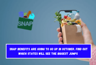 SNAP benefits are going to go up in October. Find out which states will see the biggest jumps