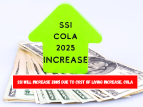 SSI will increase 288$ due to cost of living increase, COLA