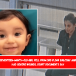 Seventeen-month-old girl fell from 3rd floor balcony and had severe wounds, court documents say