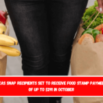 Texas SNAP Recipients Set to Receive Food Stamp Payments of Up to $291 in October