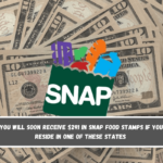 You will soon receive $291 in SNAP food stamps if you reside in one of these states