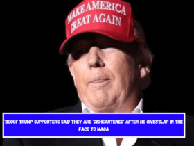 'Booo!' Trump supporters said they are 'disheartened' after he gives'slap in the face to MAGA