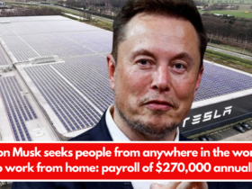 Elon Musk seeks people from anywhere in the world to work from home: payroll of $270,000 annually