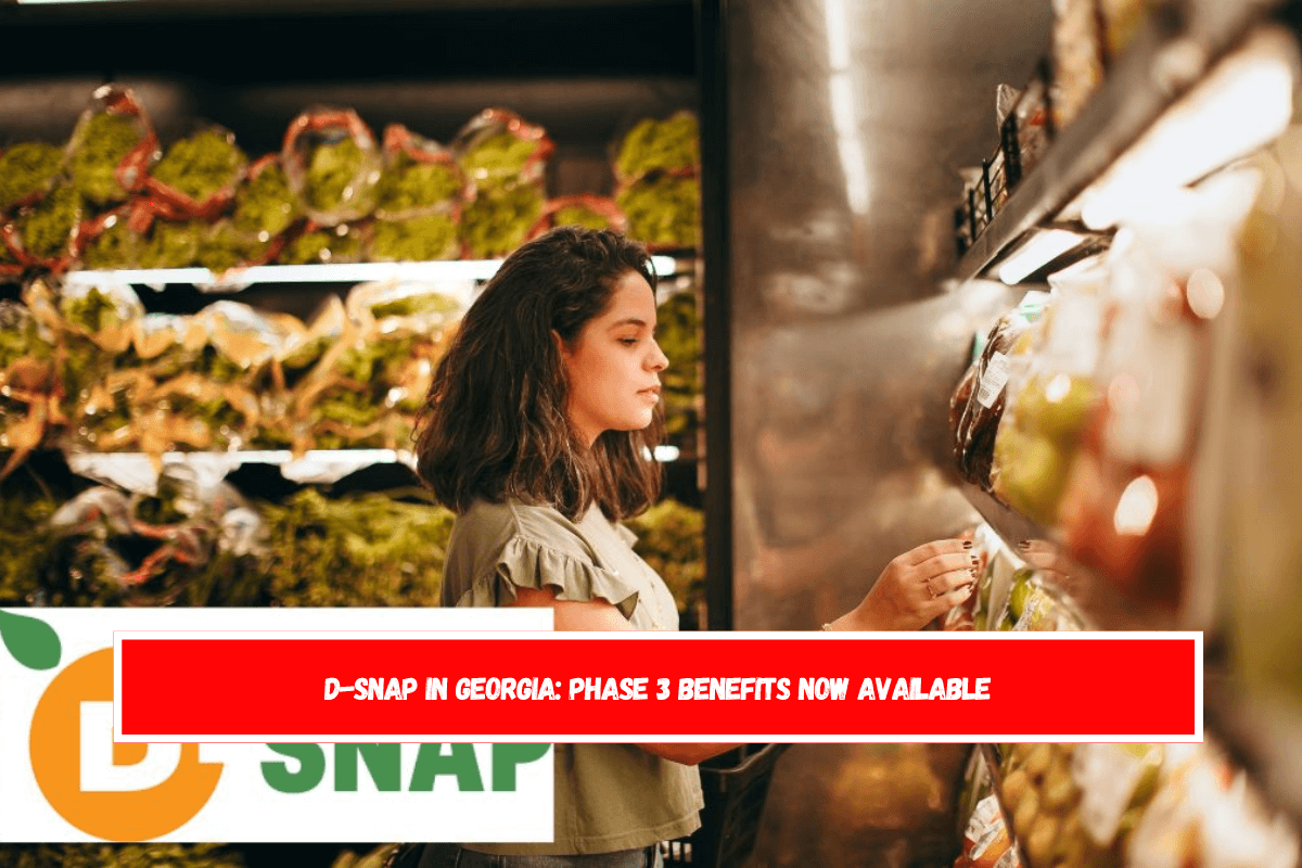 D-SNAP in Georgia Phase 3 benefits now available