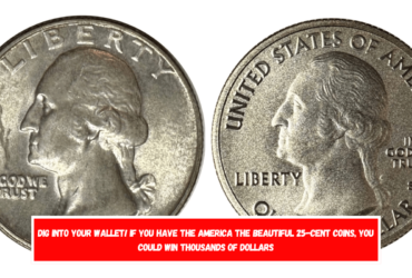 Dig into your wallet! If you have the America the Beautiful 25-cent coins, you could win thousands of dollars