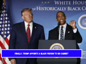 Finally, Trump appoints a Black person to his cabinet