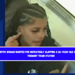 NYPD Woman wanted for repeatedly slapping a 56-year-old at the Tremont train station