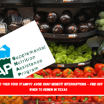 Need your Food Stamps Avoid SNAP benefit interruptions – Find out when to renew in Texas