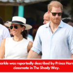 Meghan Markle was reportedly described by Prince Harry's former classmate in The Shady Way.