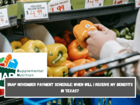 SNAP November Payment Schedule When will I receive my benefits in Texas