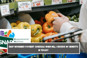 SNAP November Payment Schedule When will I receive my benefits in Texas