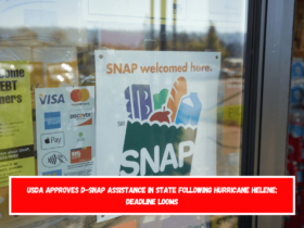 USDA Approves D-SNAP Assistance in State Following Hurricane Helene; Deadline Looms