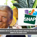 USDA announces how to apply for SNAP without affecting your Social Security benefits in the United States