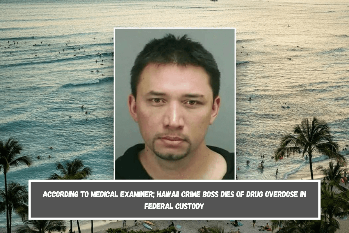 According to medical examiner; Hawaii crime boss dies of drug overdose in federal custody