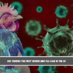 CDC verifies the first severe bird flu case in the US