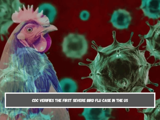 CDC verifies the first severe bird flu case in the US