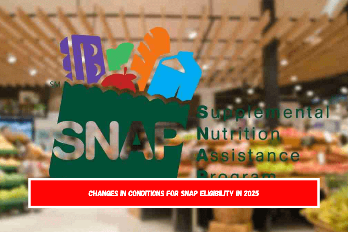 Changes in conditions for SNAP eligibility in 2025 The Transfer