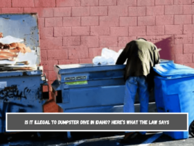 Is It Illegal to Dumpster Dive in Idaho Here’s What the Law Says