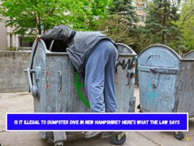 Is It Illegal to Dumpster Dive in New Hampshire Here’s What the Law Says