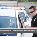 Is It Illegal to Flip Off a Cop in New Mexico Here's What the Law Says