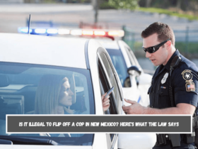 Is It Illegal to Flip Off a Cop in New Mexico Here's What the Law Says