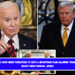 Lame-duck Biden threatens to veto a bipartisan plan allowing Trump to select more federal judges