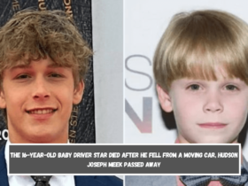 The 16-year-old Baby Driver star died After he fell from a moving car, Hudson Joseph Meek passed away