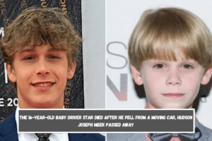 The 16-year-old Baby Driver star died After he fell from a moving car, Hudson Joseph Meek passed away